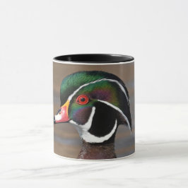 Taza