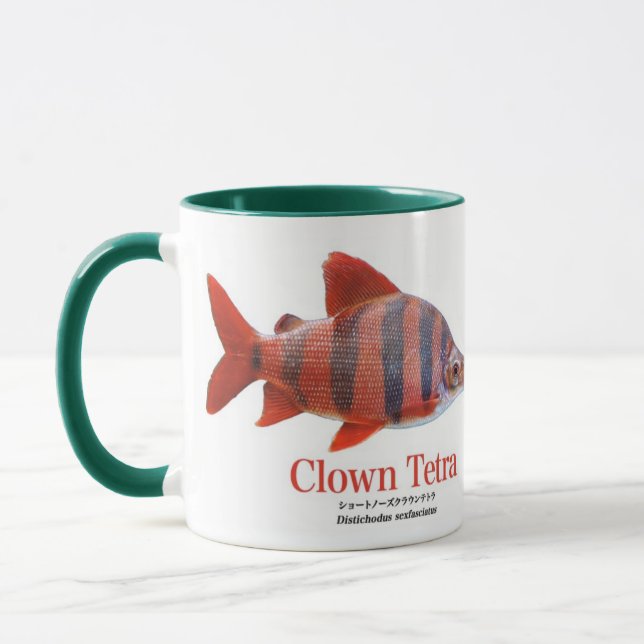 TAZA ショート・ノーズ・クラウン・テトラ (Izquierda)