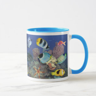 Taza 01 de los pescados