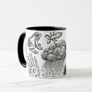 Taza 10 plagas