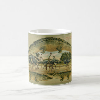 Taza 1905 de la frontera del cocodrilo de la
