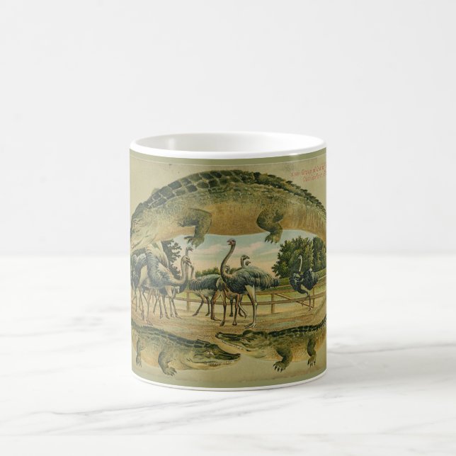 Taza 1905 de la frontera del cocodrilo de la (Centro)