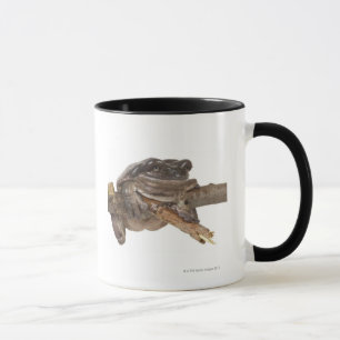 TAZA 23568138