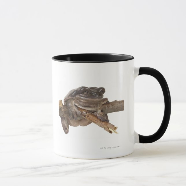 TAZA 23568138 (Derecha)