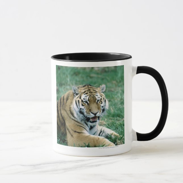 TAZA 24103189 (Derecha)