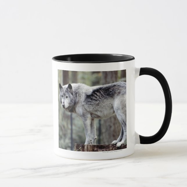 TAZA 24114488 (Derecha)