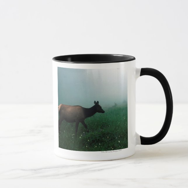 TAZA 24121885 (Derecha)