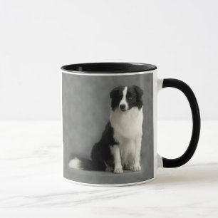 Taza 2 del border collie