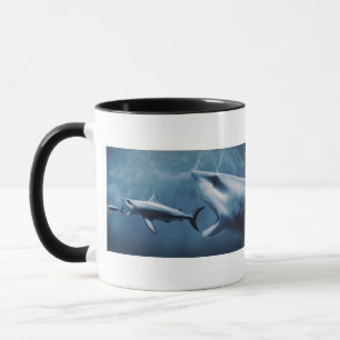 Taza 3 grandes tiburones blancos (carcharias del