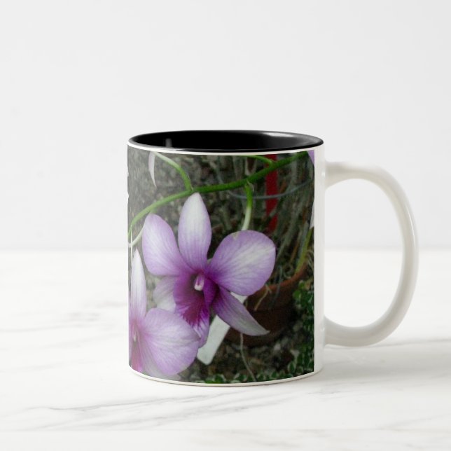 Taza 5 de la orquídea (Derecha)