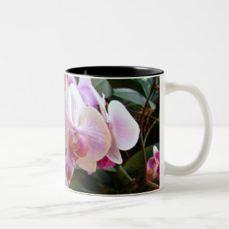 Taza 6 de la orquídea