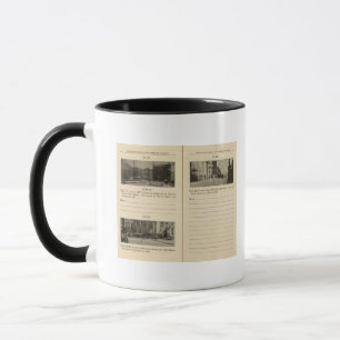 Taza 73941 Albany