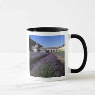 Taza Abadía de Sénanque, Gordes, Vaucluse, Provenza,
