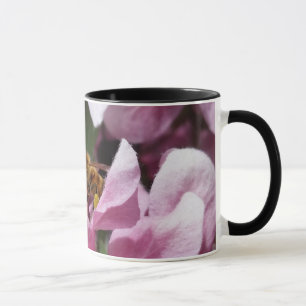 Taza Abeja Melífera Polinizando la Flor del Árbol Manza