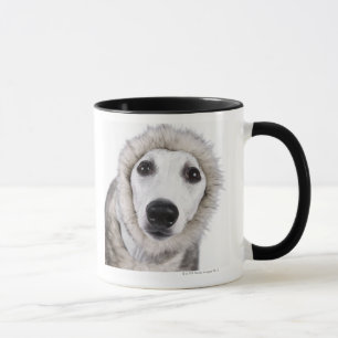Taza Abrigo de pieles que lleva del perro de Whippet,
