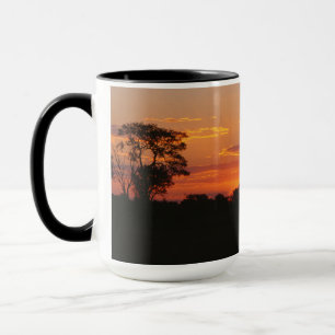 Taza Acacia Sunset