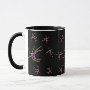 Taza Aceite de Araña de Cazador,