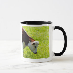 Taza Acobarde el pasto en un campo, el valle del Loira,