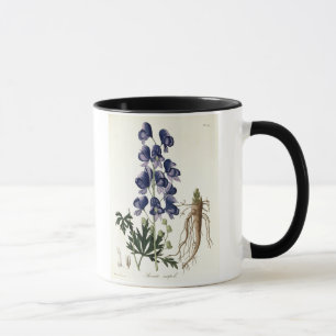 Taza Aconitum Napellus de "Phytographie Medicale" cerca