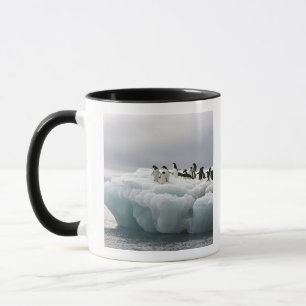 Taza Adelie Penguin Pygoscelis adeliae),
