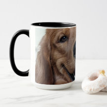 Adorable Golden Retriever | Fotografía Original de