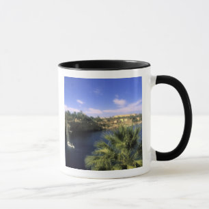Taza AF, Egipto, Alto Egipto, Asuán. Río Nilo,