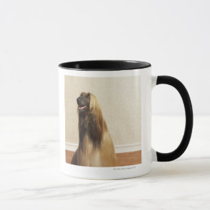 Taza Afgano que se sienta en el sitio 2