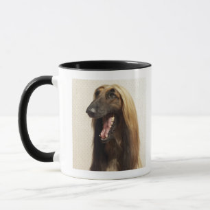 Taza Afgano que se sienta en sitio
