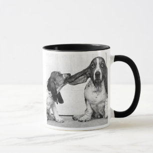 Taza afloramientos