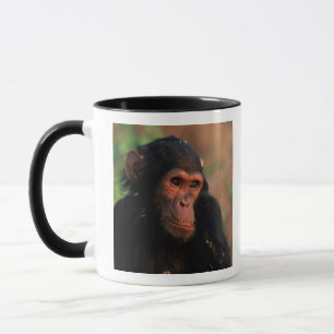 Taza África, África Oriental, Tanzania