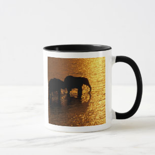 Taza África, Botsuana, Delta del Okavango. Africano