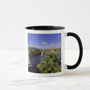 Taza África, Egipto, Alto Egipto, Asuán. Feluccas 2