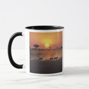 Taza África, Kenia, Amboseli NP. Las cebras caminan hac