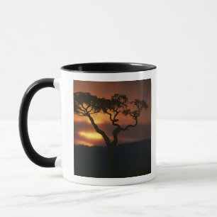 Taza África, Kenia, la reserva de caza Masai Mara, esc
