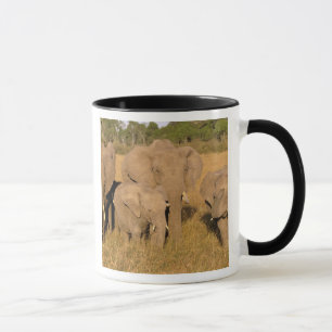Taza África, Kenia, Masai Mara. Elefante africano