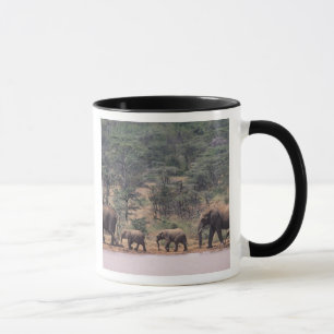 Taza África, Kenia, Nanyuki, Mpala. Africano