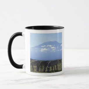 Taza África, Kenia, Parque Nacional de Amboseli, Manada
