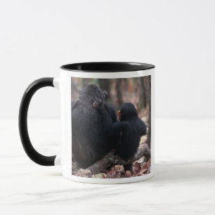 Taza África Oriental, Tanzania