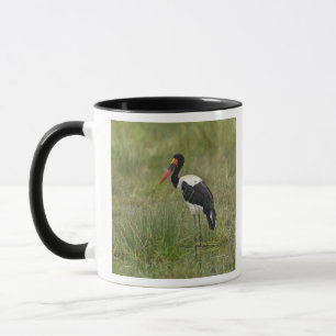 Taza África. Tanzania. Cigüeña Silla de Montar macho