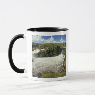 Taza África, Uganda, Murchison cae NP. El espumoso