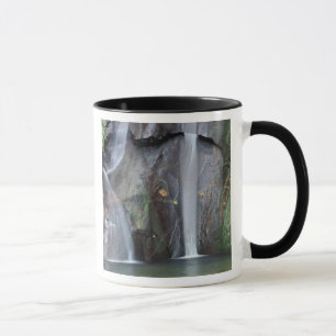 Taza África, Uganda, selva impenetrable de Bwindi,
