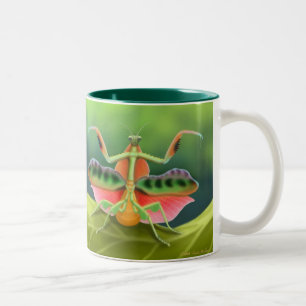 Taza africana de la mantis religiosa