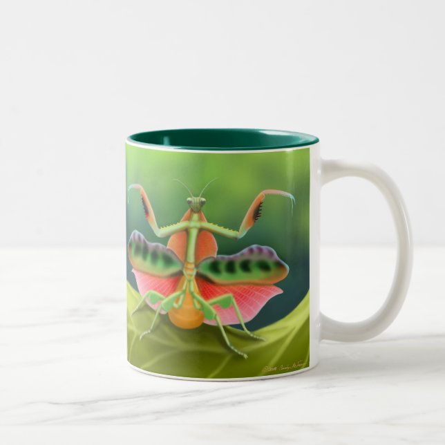 Taza africana de la mantis religiosa (Derecha)