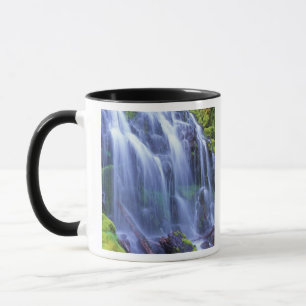 Taza Agua dulce de primavera que fluye sobre musgo