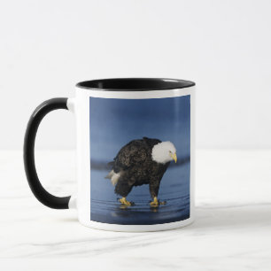 Taza Águila calva