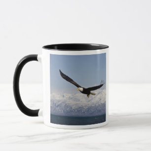 Taza Águila calva en vuelo, Haliaeetus leucocephalus, 3