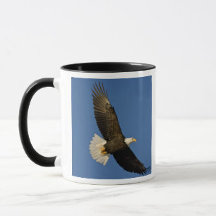 Taza Águila calva, Haliaeetus leucocephalus, Homer,