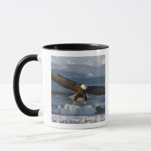 Taza Águila calva, Haliaeetus leucocephalus, Homer, 3