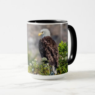 Taza Águila calva sentada en la roca