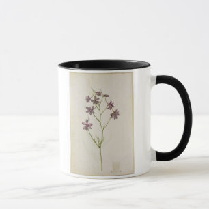Taza Ajacis del Delphinium, c.1568